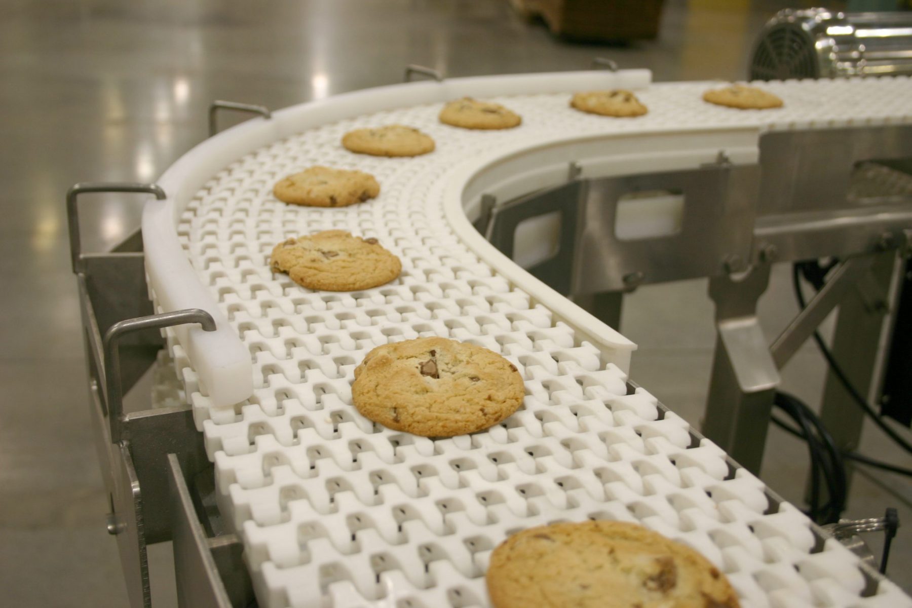 Food Conveyor Belt for Bakery Industry Conveyor Belt India