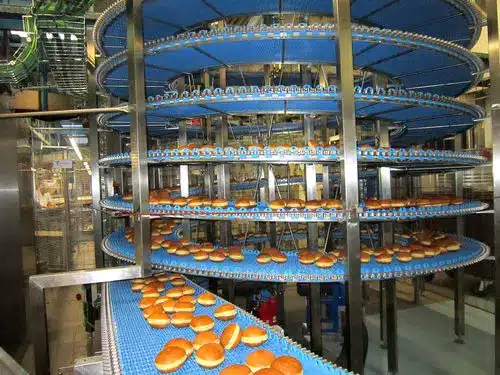 The best food conveyor manufacturers in India